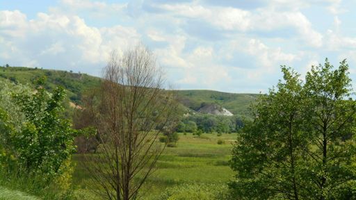 Кривая лука