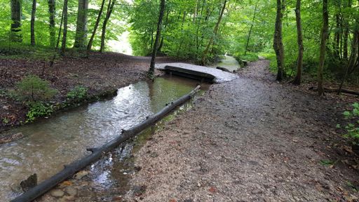 Schlossweg nach Widdersberg
