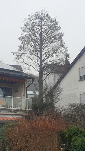 Eppstein_ID23808_UM_Zeilring 25