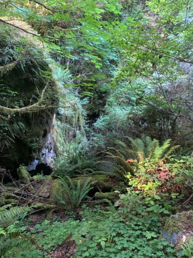 The sound of the water flowing was a bit enchanting here.