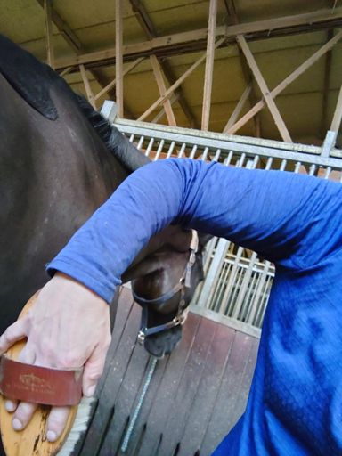 ...wenn man Schwimmskills im Job automatisch anwendet, hat man die dann verinnerlicht? 😂