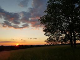 Sortie à vélo le soir