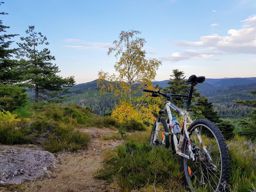 VTT dans la fraîcheur du soir