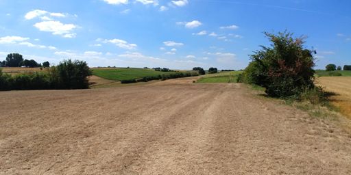 Another dead end. No problem when they're nice and quite as this one.