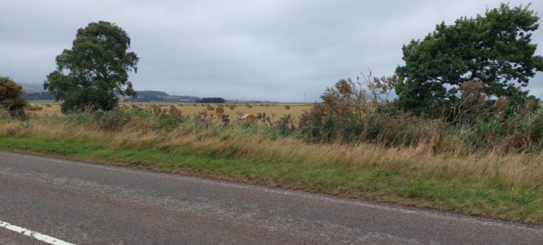 I saw what looked like light cream blocks of flats in the distance, but they couldn't be. What are they? (About 3.5 miles away as the crow flies.)