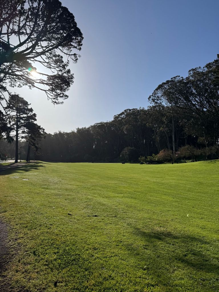 Butterlap (Presidio & Golden Gate Park) photo 144
