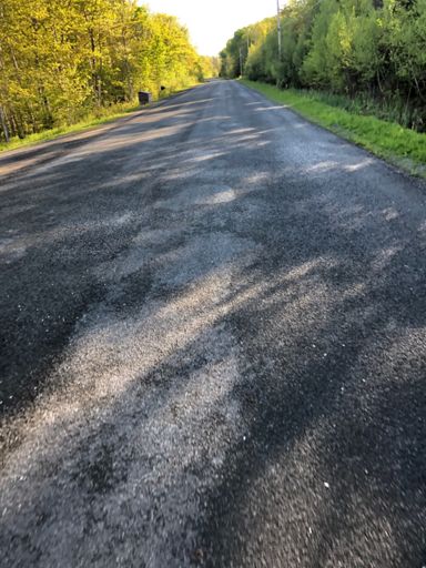 Smooth asphalt in the middle of nowhere // meanwhile potholes all over town 🤷‍♂️