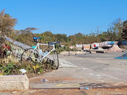 Do not tear this skatepark down.