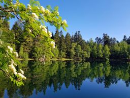 Entre le Coquin et la Maix