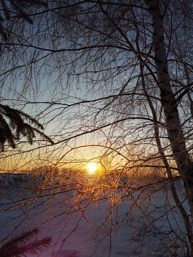 Окрестности Вашутино.