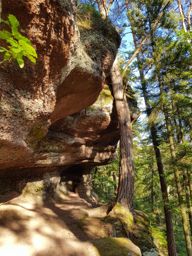 Balade photos à St Quirin