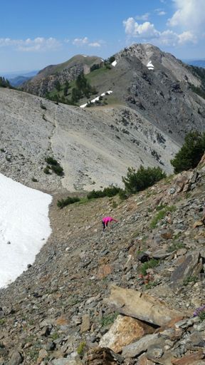 Climbing above the saddle.