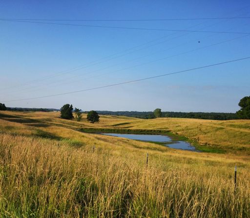Smith Hatchery Rd, from the pavement