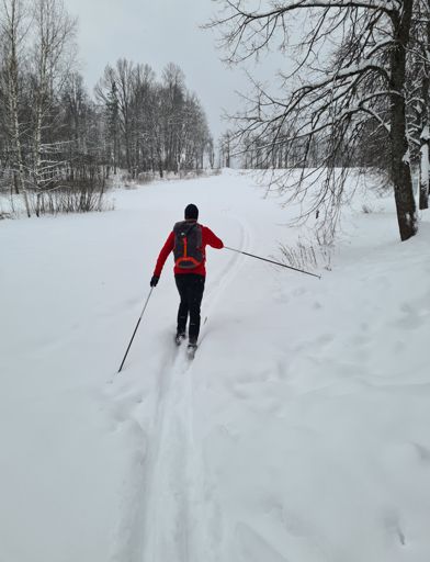 Рядом с музеем-заповедником Абрамцево.
