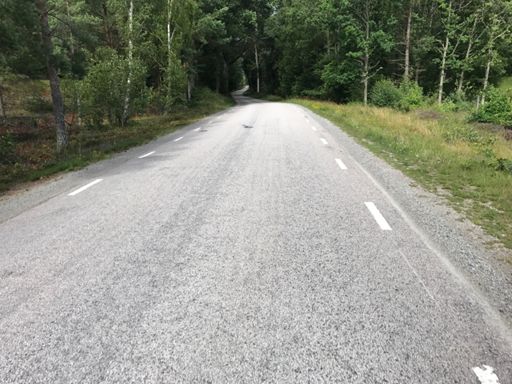 Vägen mellan Torhamn och Kristianopel var ruggigt fin!