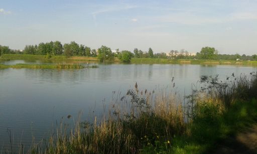 Hubertus z widokiem na Ostrogorska; )