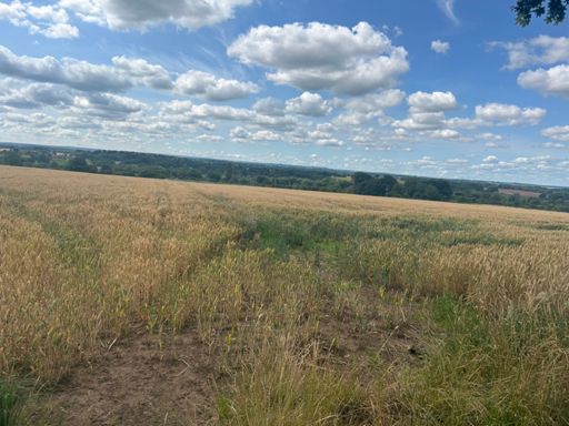 View from Hutton Conyers 