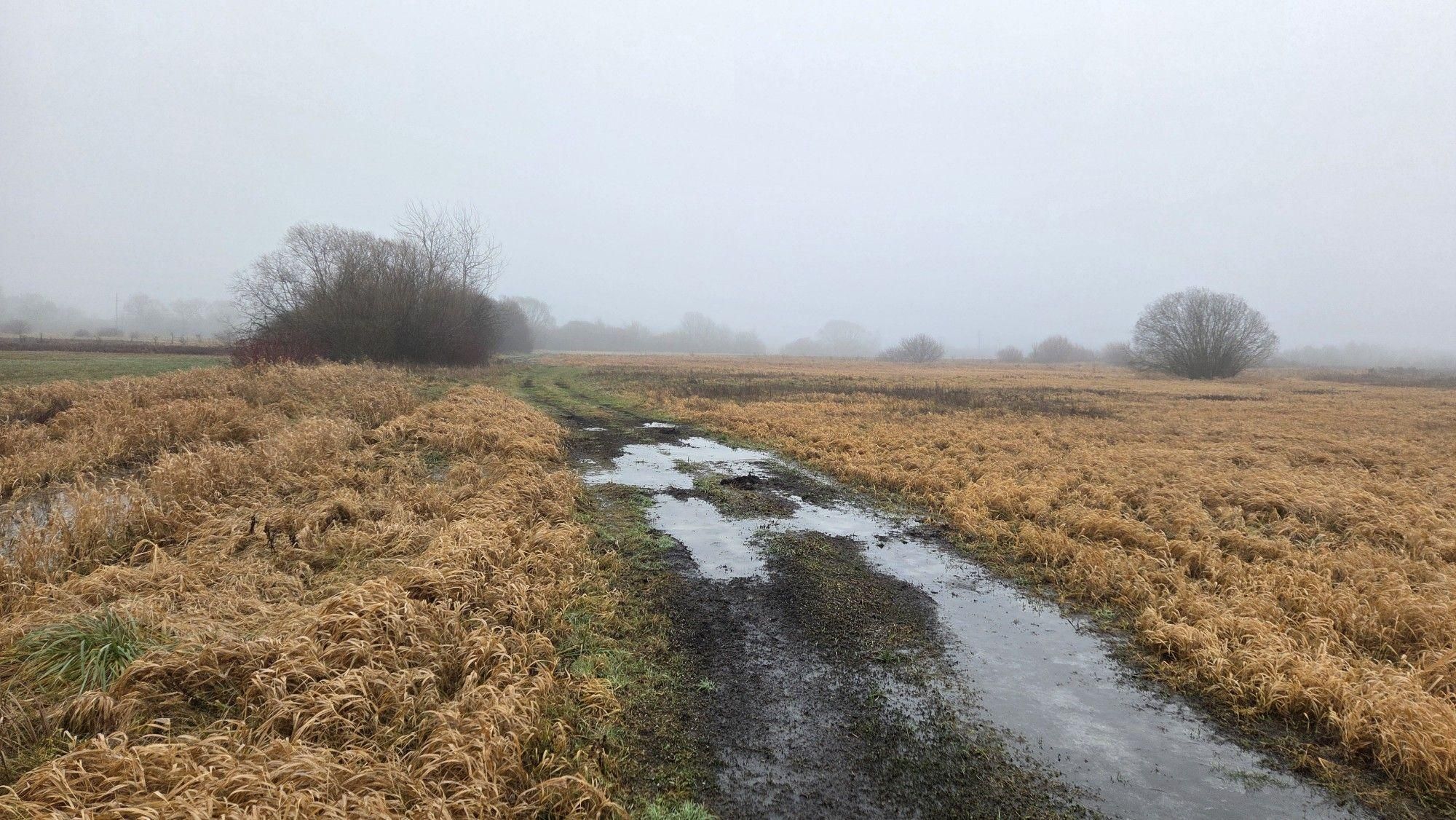 Sympatyczna polska zima 