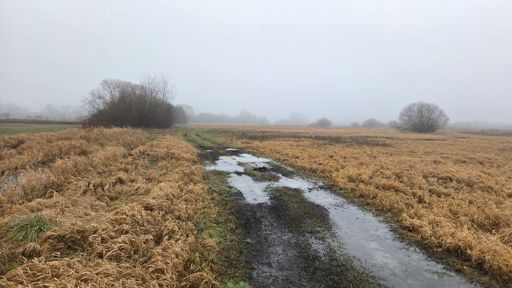 Sympatyczna polska zima 