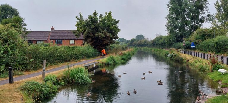 Bridgwater and Taunton Canal during a short period of light rain. Our route mirrored (the reverse of) the way down from perhaps 2 miles before Bishop's Hull to the road system after Somerset College of Arts and Technology. We crossed the River, turned right at the Ale House then left on Canalside Road bringing us to where the canal joins the river. The route was fine, except for the bit from the River Parratt to the Locks Way, which will be replaced with the route down in reverse. The current version goes through a modern estate then busy trunk roads, rather than more of the River, country roads only, Chedzoy and the other villages.