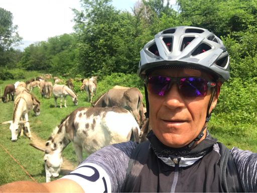 Una pausa fra amici!😂