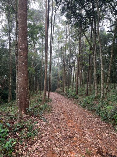 Subida pro observatório