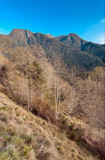 Will never, ever tire of this view