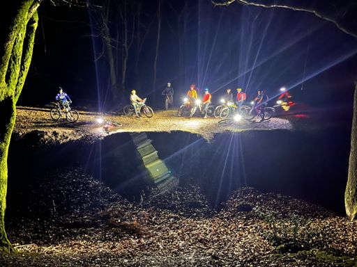 King of the swingers 