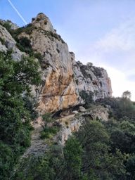 Le crane de Colombier