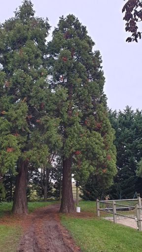 Mainz_ID24902_BM_Rheinhessenstr. 200