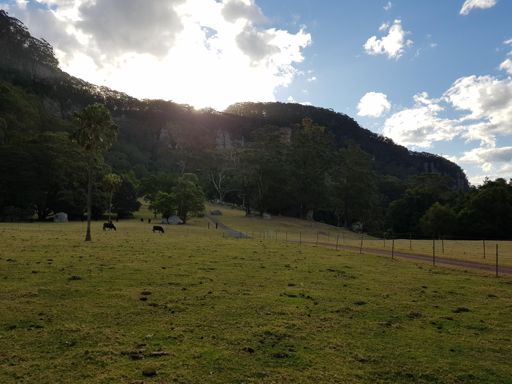 Good area for footy or frisbee ☺