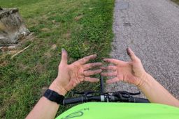 Petite sortie avant la pluie...