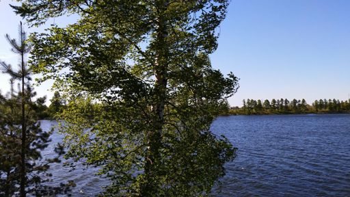 Как смог запечатлел ветер.