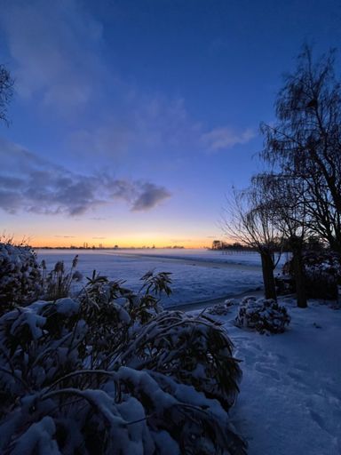 Zonsopgang vanmorgen in de tuin