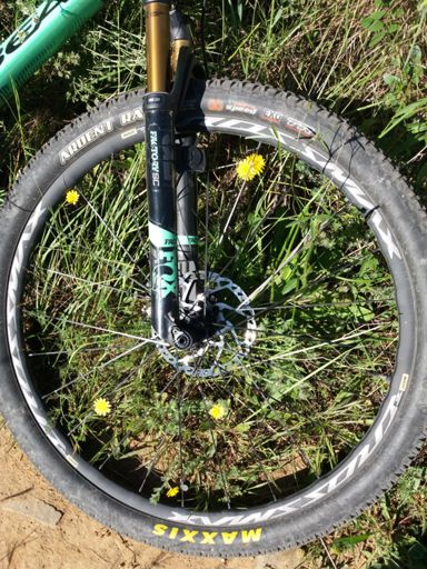 Q bien quedan las flores😍🤣