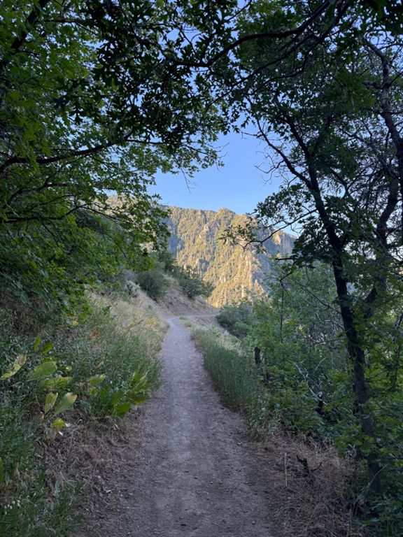 route-highlight