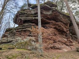 Autour du Falkenstein
