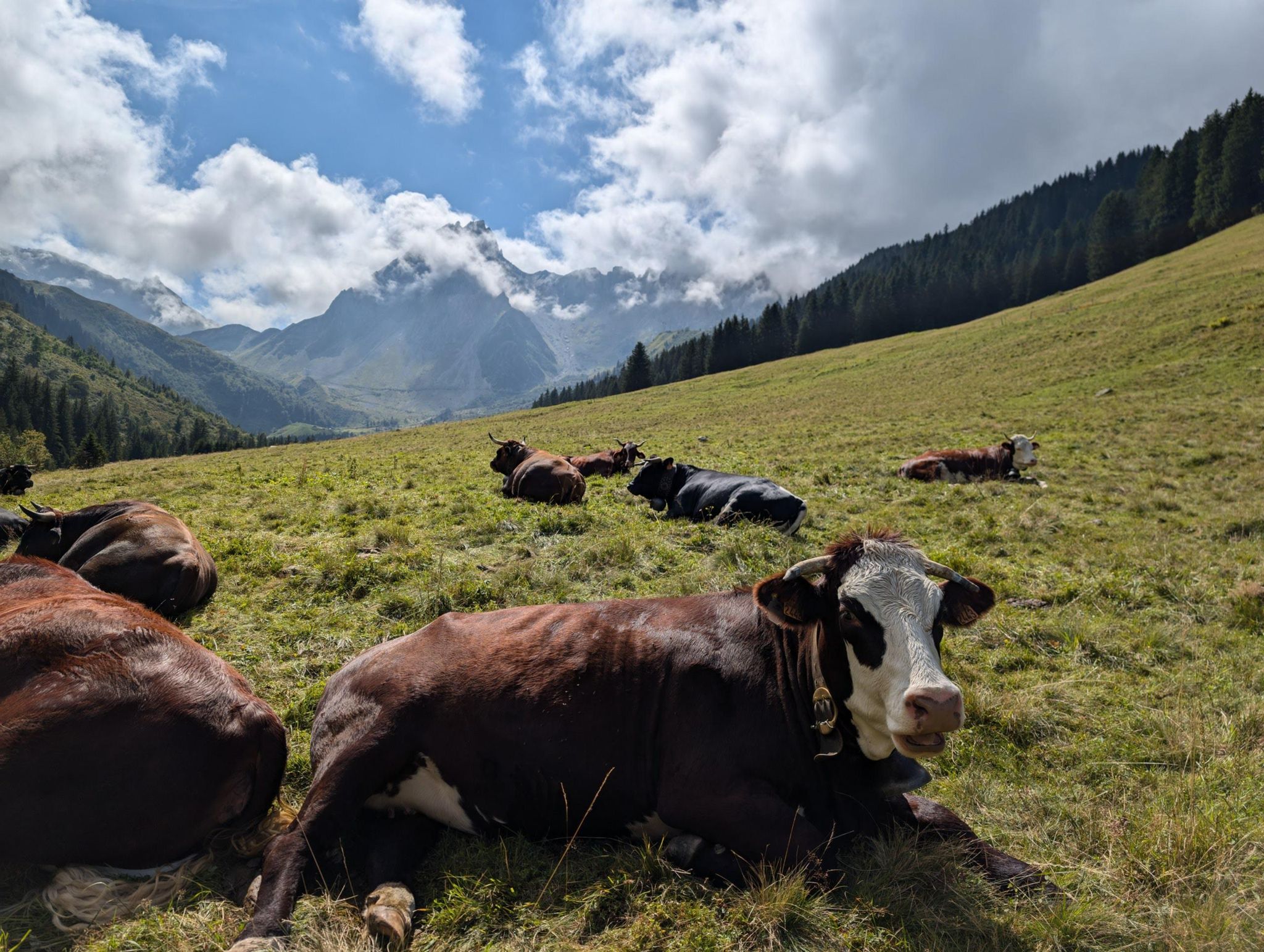 GR 5 Part 1 - Day 9 photo 14