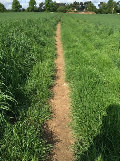 100m from Layhams and no lairy drivers anywhere