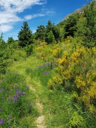 Haut tour du lac de Castillon en VTT