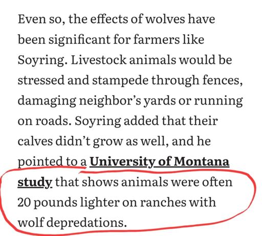 Please DM me if you know of a Jenny Craig Center in wolf country. Asking for a friend 🤫