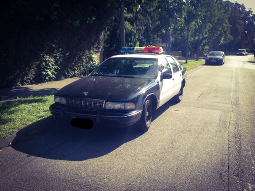 That's the sound of da police!