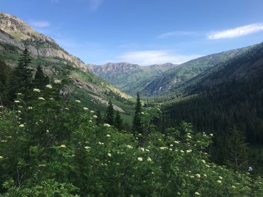 Looking down the canyon from the top of devils staircase