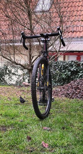 Fahrrad putzen mit neugieriger Amsel...