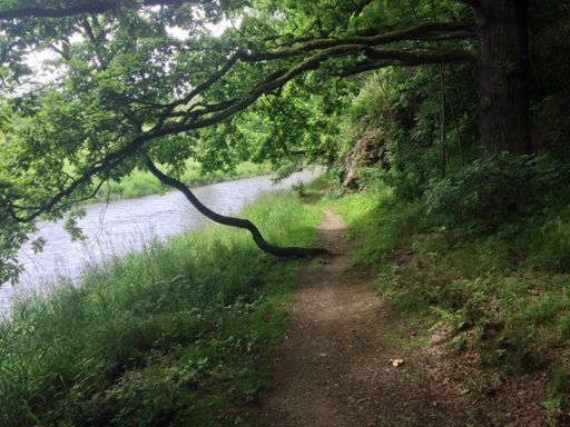 Beim Lochbauer Radweg. Da sieht es immernoch so aus wie früher als wir als Kinder da lang gefahren sind.