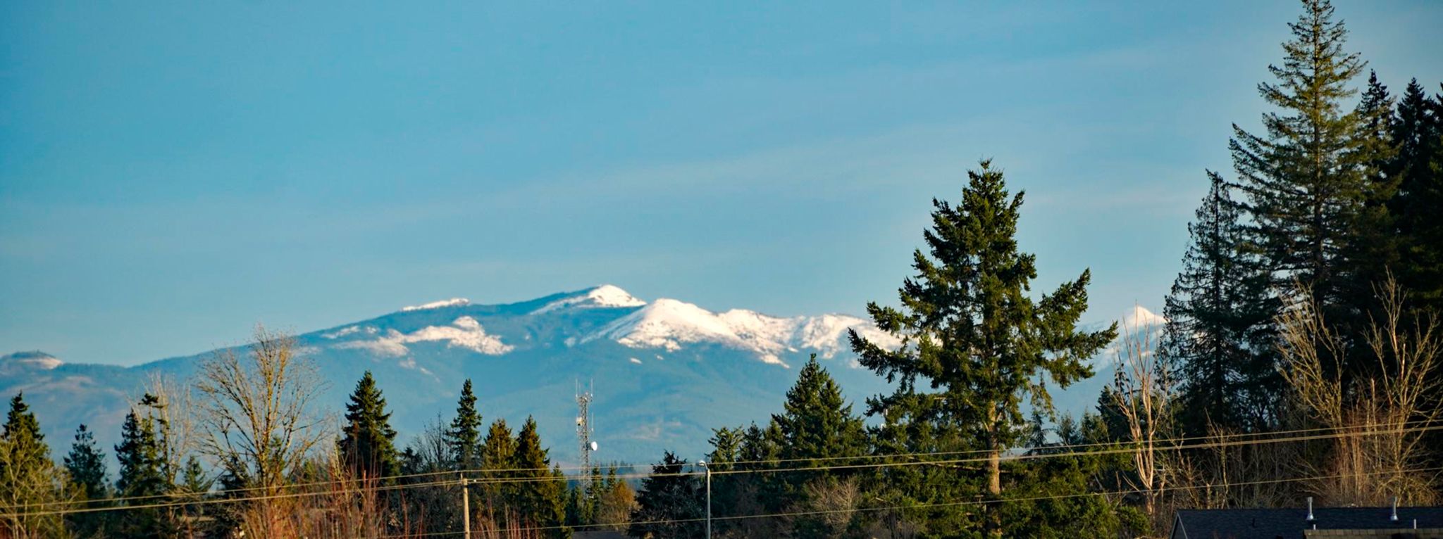 I knew there was snow on Larch but figured it would only be at the top