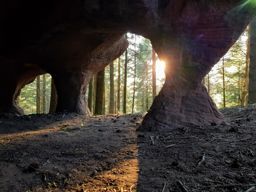 1 Mirguet, 2 Rougimonts et 3 Pierres SVP