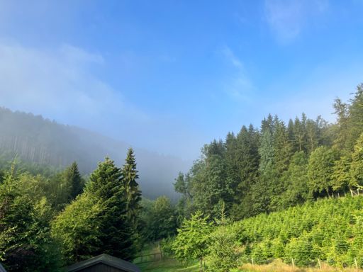 Prediction: Rain; Reality: sunshine😀