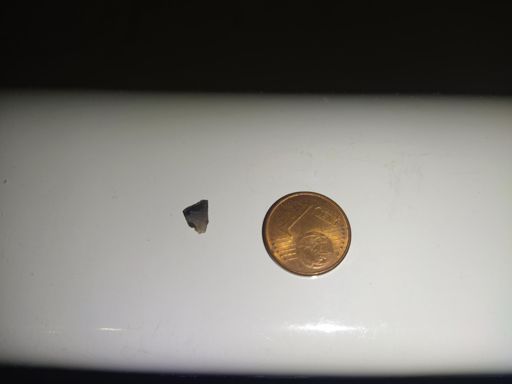 Am nächsten Tag hab ich diesen Splitter aus dem platten Vorderrad gezogen.