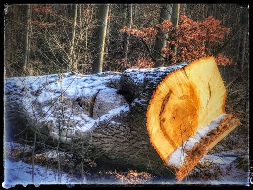 Seht ihr auch sein wunderschönes Lächeln 😊😢😢😢